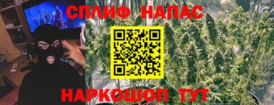 ГАЛЛЮЦИНОГЕННЫЕ ГРИБЫ Пугачёв